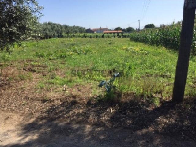 Terreno venda em Anadia, Aveiro