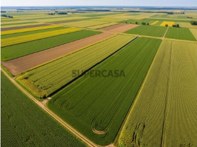 Terreno venda em Oliveira Do Bairro, Aveiro