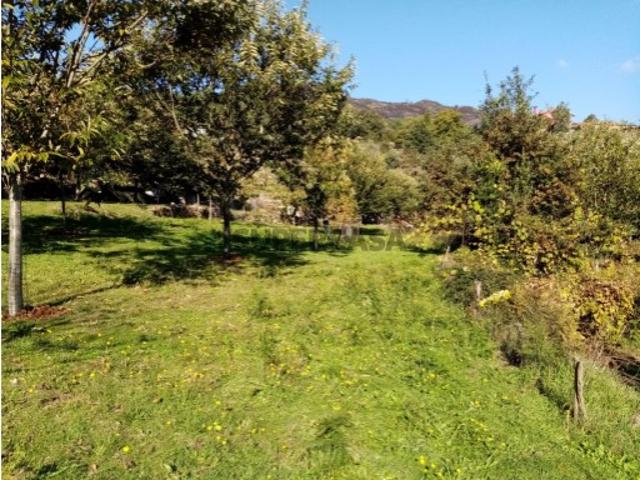 Terreno venda em Boalhosa, Viana Do Castelo
