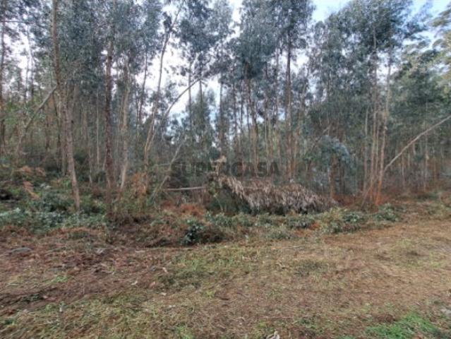 Terreno venda em Boalhosa, Viana Do Castelo