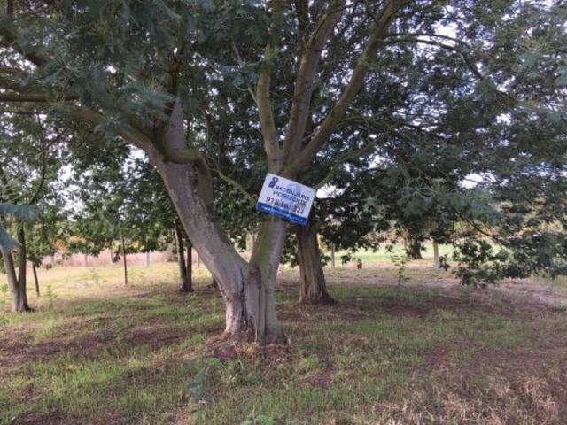 Terreno venda em Anadia, Aveiro
