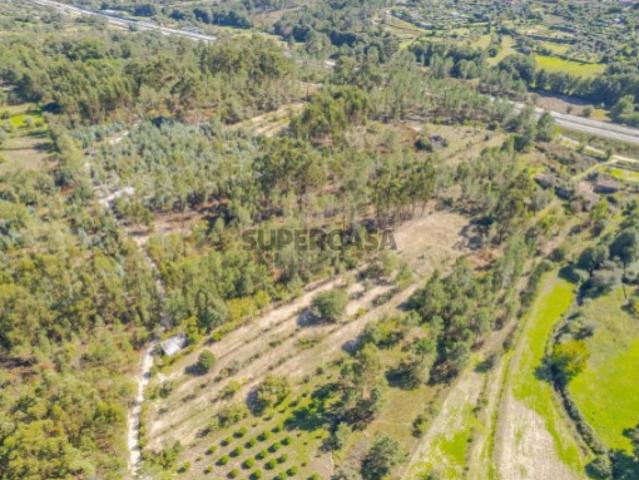 Terreno venda em Mangualde Terreno venda em Mangualde