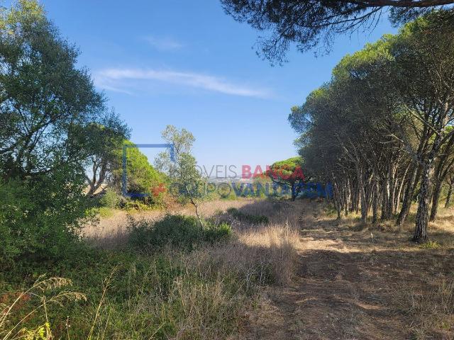 Terreno venda em Bolelas, Sintra