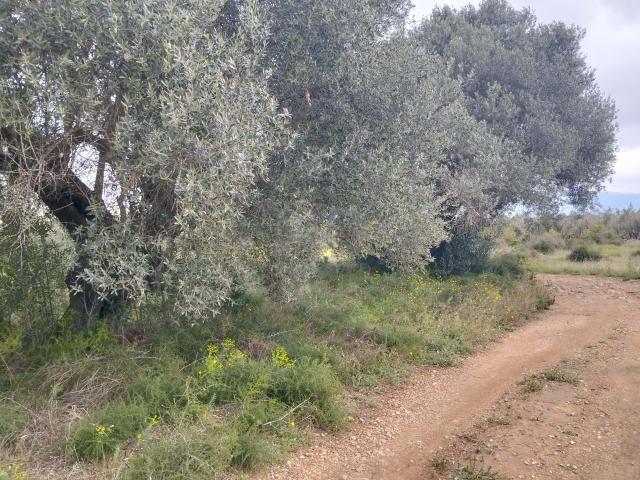 Casa Rural en venta en Baix Ebre, Catalunya