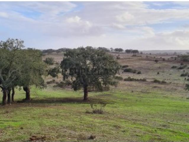 Terreno venda em Grândola, Setúbal