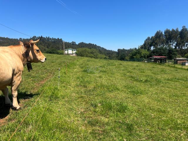Casa Rural en venta en Castrillón, Asturias