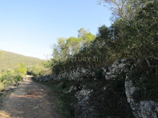 Terreno venda em Loulé, Faro