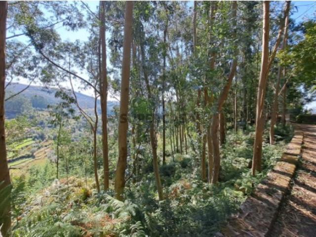 Terreno venda em Boalhosa, Viana Do Castelo