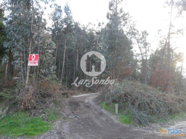 Terreno venda em Fafe, Braga