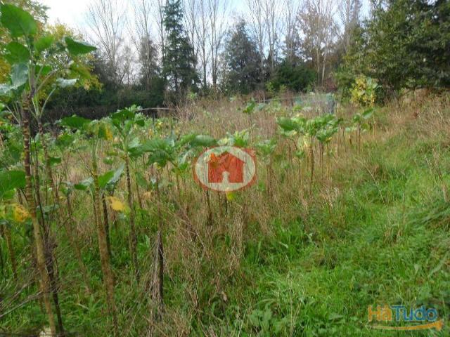 Terreno venda em Guimarães, Braga