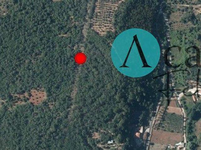 Terreno venda em Rego Da Murta, Santarém