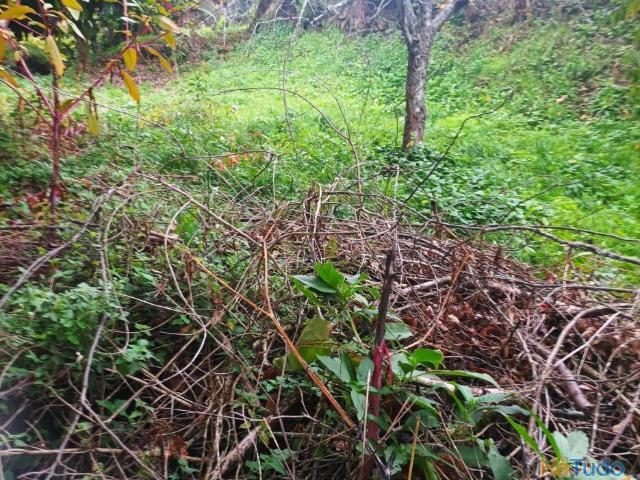 Terreno venda em Marecos, Porto