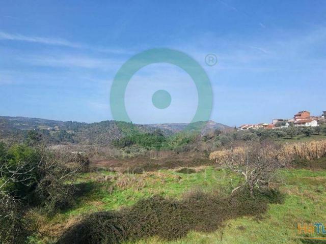 Terreno venda em Edroso, Bragança