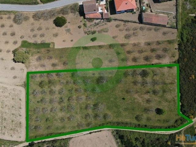 Terreno venda em Argeriz, Vila Real