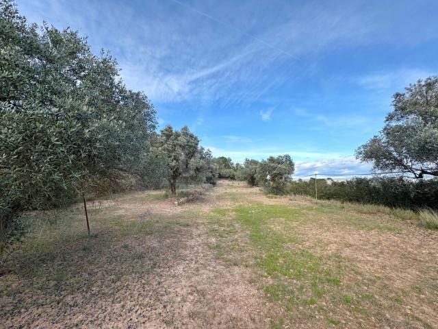 Casa Rural en venta en Ribera d'Ebre, Catalunya