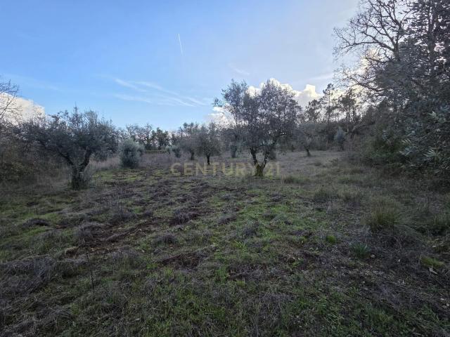 Terreno venda em Ansião, Leiria