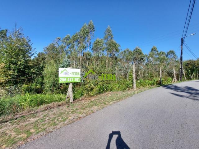 Terreno venda em Santa Maria Da Feira, Aveiro