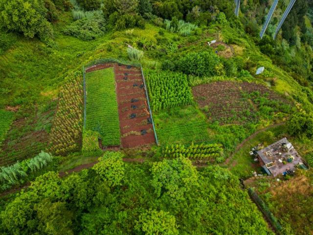 Terreno venda em Santana, Ilha Da Madeira