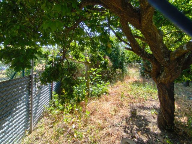 Terreno venda em Catujal, Santiago Dos Velhos