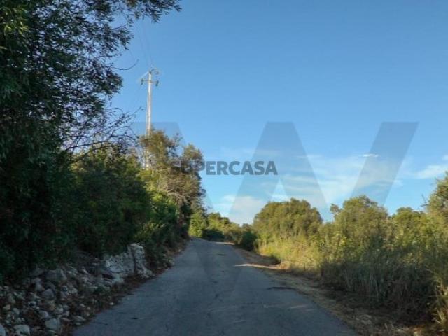 Terreno venda em Loulé, Faro