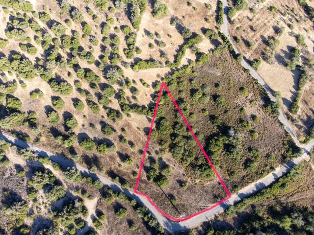 Terreno venda em Loulé, Faro