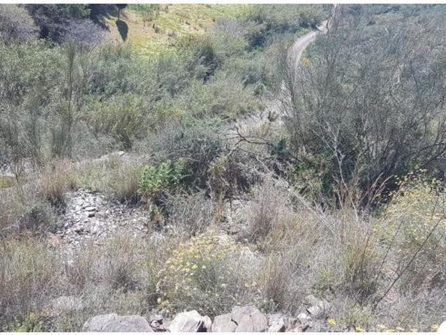 Local Comercial en venta en Reñidero, La Axarquía