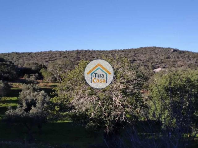 Terreno venda em São Brás De Alportel, Faro