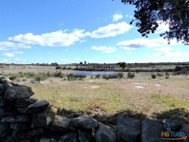 Terreno venda em Guarda, Figueira De Castelo Rodrigo