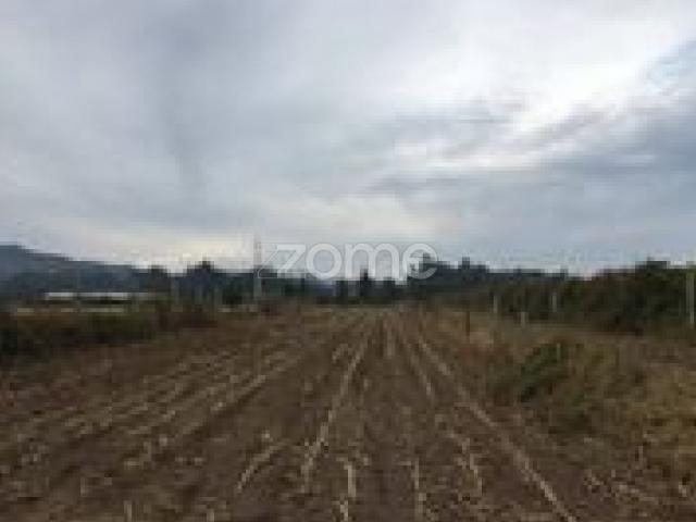 Terreno venda em Bougado (São Martinho e Santiago), Trofa