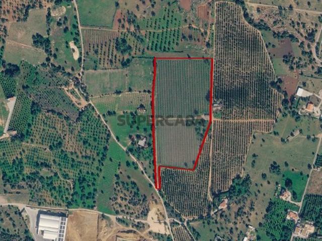 Terreno venda em Conceição e Estoi, Faro