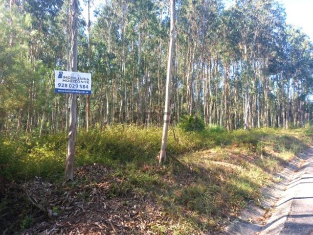 Terreno venda em Águeda, Aveiro