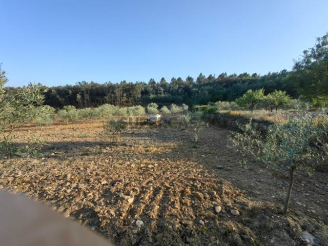 Terreno venda em Mirandela, Bragança