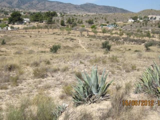 Casa en venta en Monòver / Monóvar, Alacant / Alicante