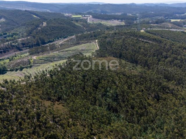 Terreno venda em Bougado (São Martinho e Santiago), Trofa