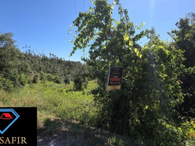 Terreno venda em Rego Da Murta, Santarém