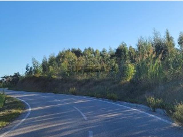 Terreno venda em Vila Robim, Figueira Da Foz