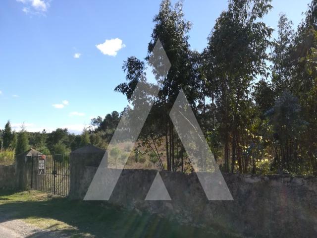 Terreno venda em Anadia, Aveiro