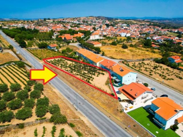 Terreno venda em Guarda