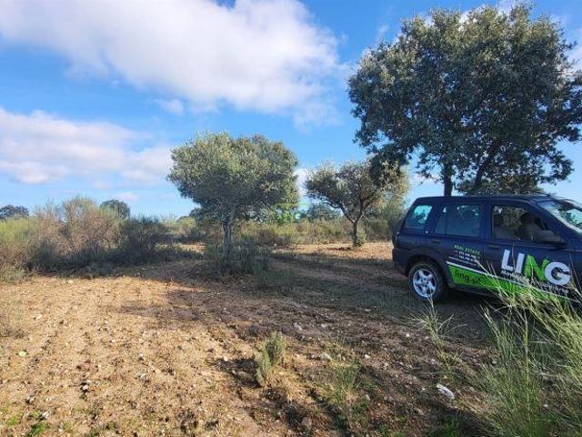 Terreno venda em Castelo Branco, Idanha-a-nova