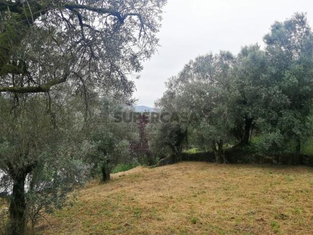 Terreno venda em Boalhosa, Viana Do Castelo