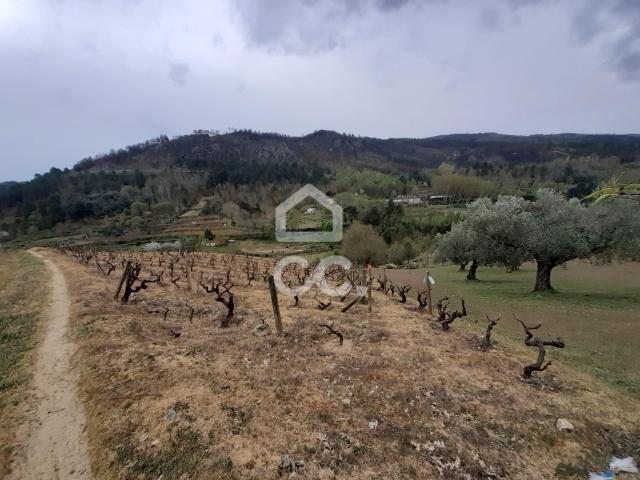 Terreno venda em Ribeira das Avelãs, Chaves