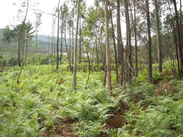 Terreno venda em Cerquido, Boalhosa