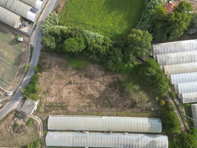 Terreno venda em A Ver-o-mar, Porto