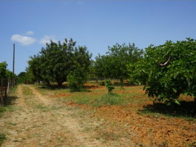 Terreno venda em Vila Real De Santo António, Faro
