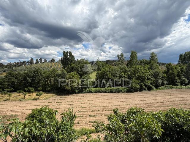 Terreno venda em Mirandela, Bragança