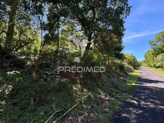 Terreno venda em Açores, São Roque Do Pico