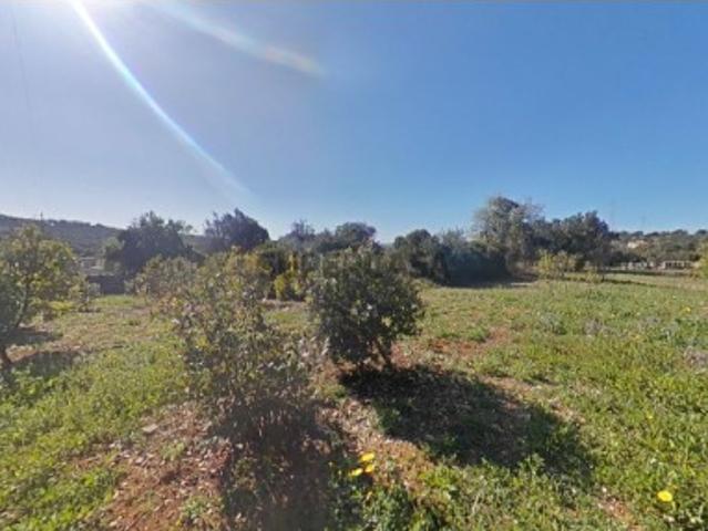 Terreno venda em Faro