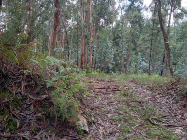 Terreno venda em Boalhosa, Viana Do Castelo