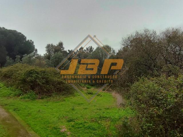 Terreno venda em Cartaxo e Vale da Pinta, Cartaxo