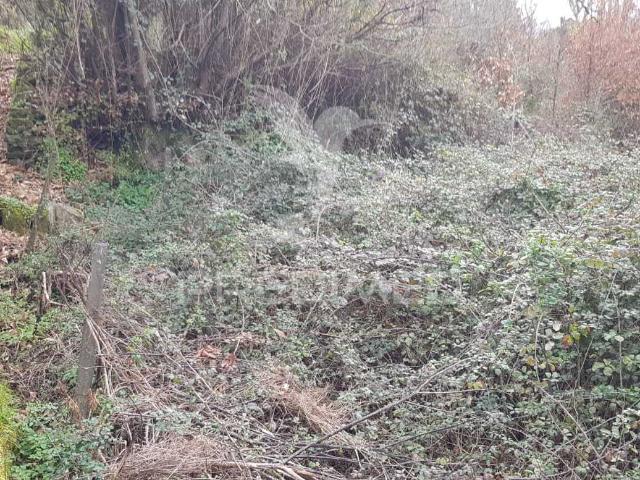 Terreno venda em Urbanização S. Domingos, Peso da Régua